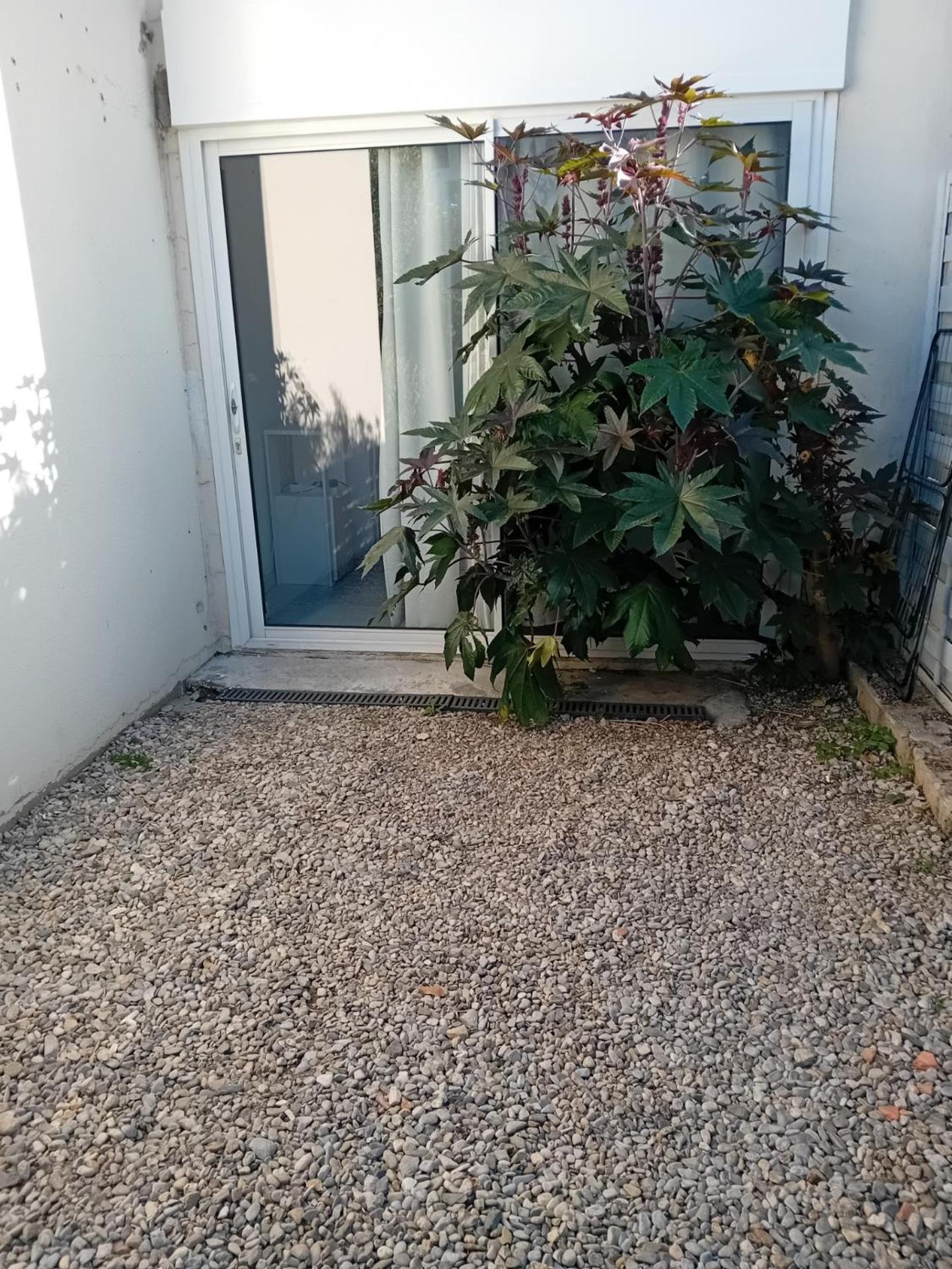Studio Meuble Wifi A Proximite Du Tram Castelnau-le-Lez Exteriér fotografie